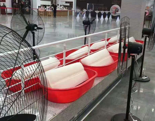 羞羞的视频网站冰块案例