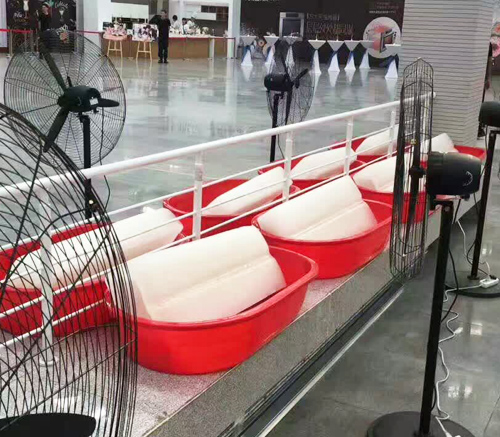 西安羞羞的视频网站冰块